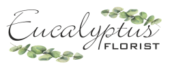 Eucalyptus Florist
